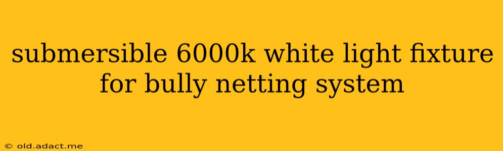 submersible 6000k white light fixture for bully netting system