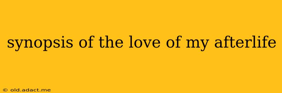 synopsis of the love of my afterlife