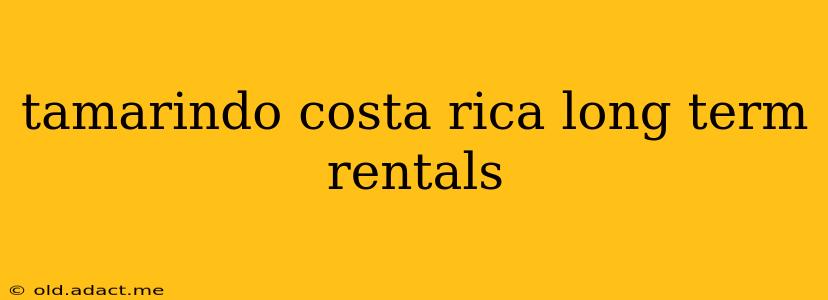 tamarindo costa rica long term rentals