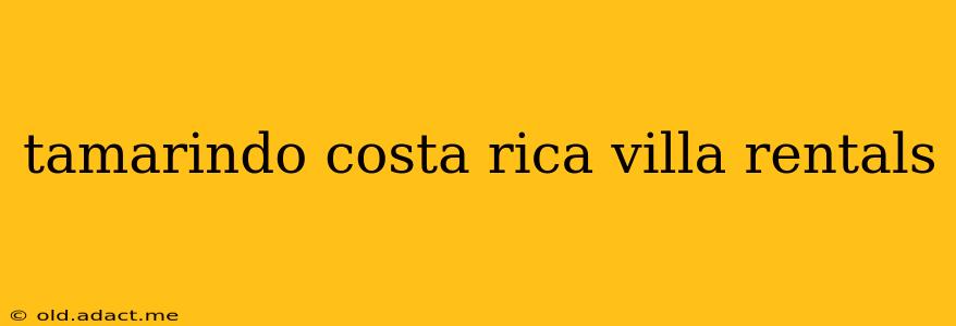 tamarindo costa rica villa rentals