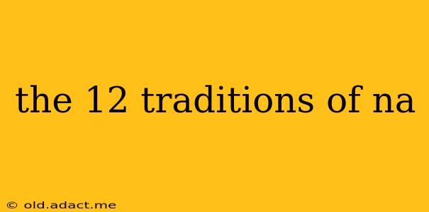 the 12 traditions of na