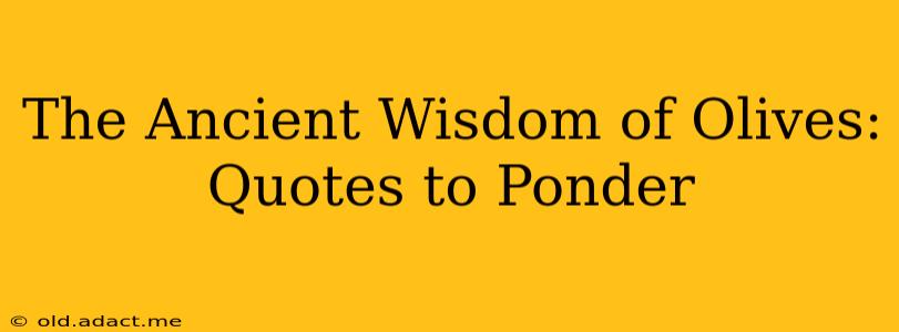 The Ancient Wisdom of Olives: Quotes to Ponder