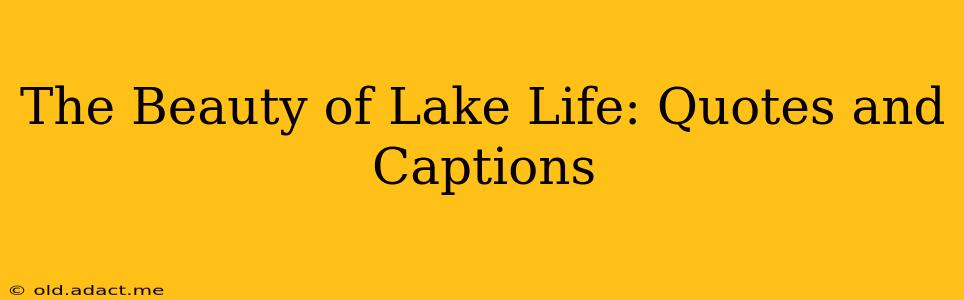 The Beauty of Lake Life: Quotes and Captions