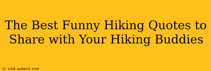 The Best Funny Hiking Quotes to Share with Your Hiking Buddies