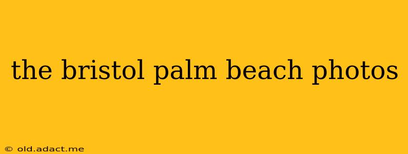 the bristol palm beach photos