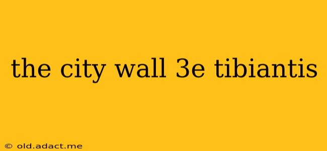 the city wall 3e tibiantis