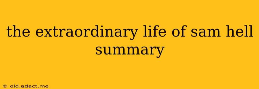 the extraordinary life of sam hell summary