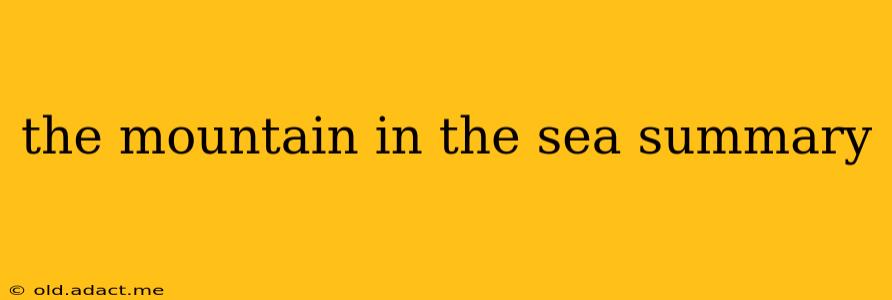 the mountain in the sea summary