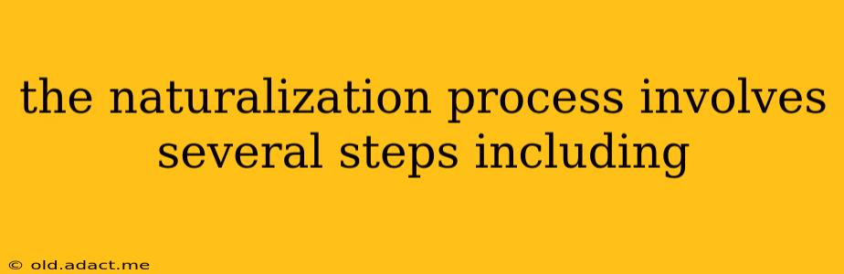 the naturalization process involves several steps including