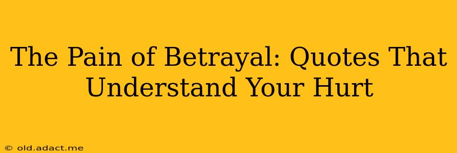The Pain of Betrayal: Quotes That Understand Your Hurt