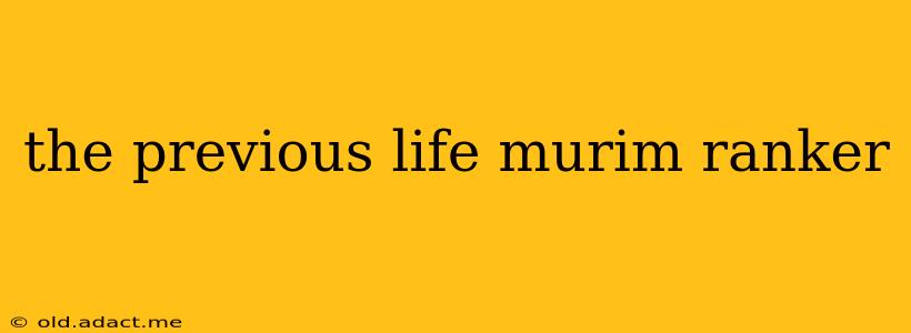 the previous life murim ranker