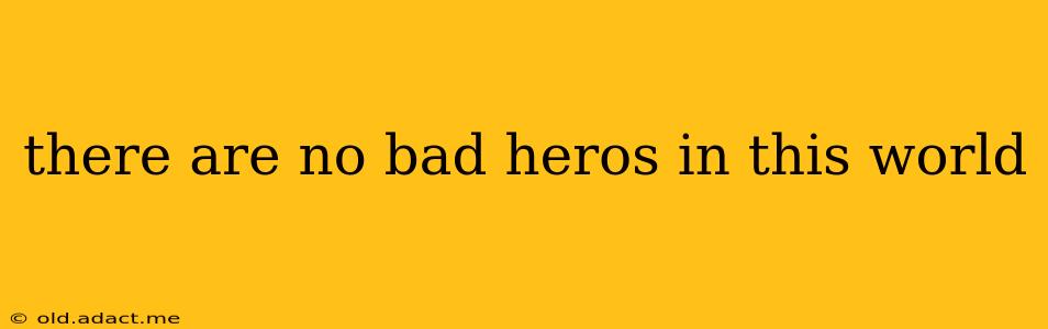 there are no bad heros in this world
