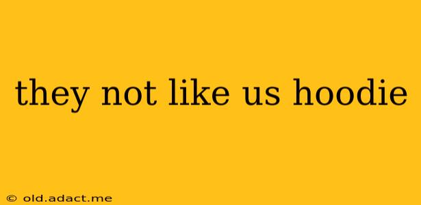 they not like us hoodie