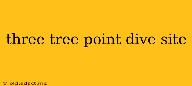 three tree point dive site