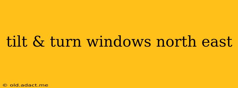 tilt & turn windows north east