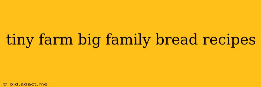tiny farm big family bread recipes