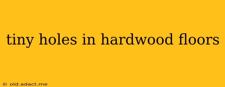 tiny holes in hardwood floors