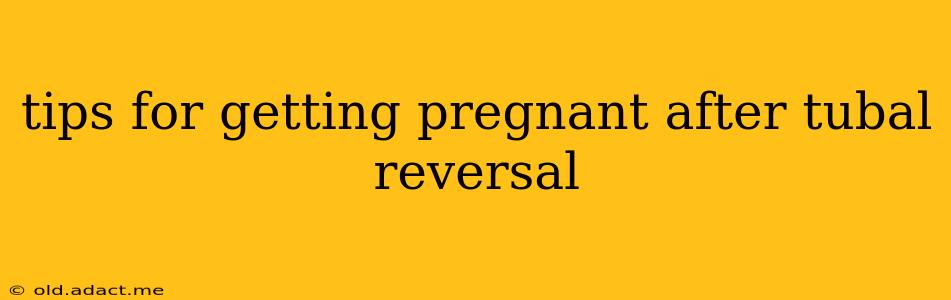 tips for getting pregnant after tubal reversal