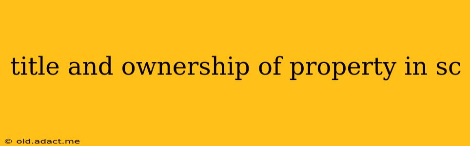 title and ownership of property in sc