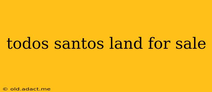 todos santos land for sale