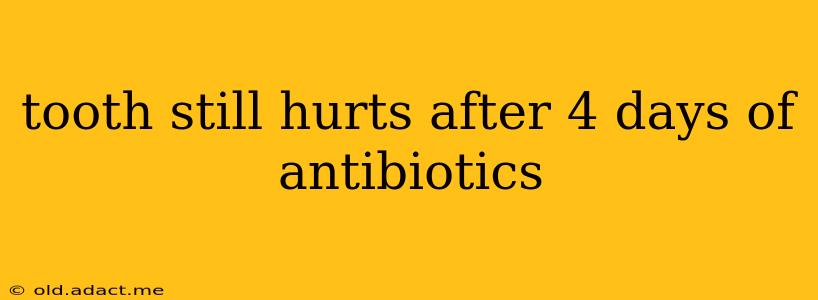 tooth still hurts after 4 days of antibiotics