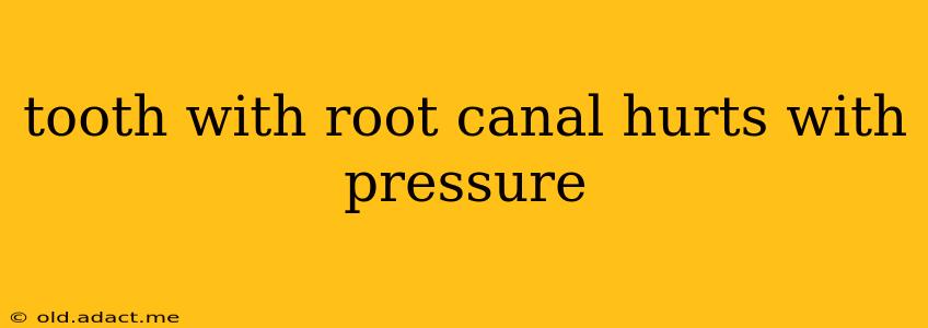 tooth with root canal hurts with pressure