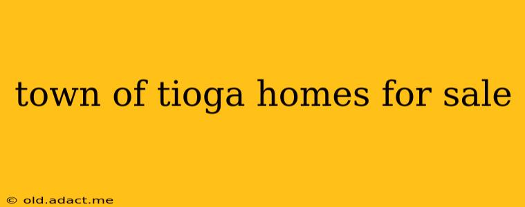 town of tioga homes for sale