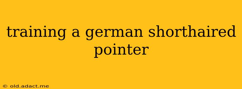 training a german shorthaired pointer