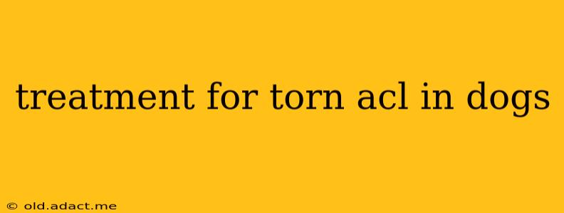 treatment for torn acl in dogs