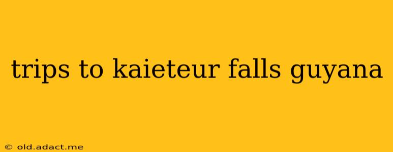 trips to kaieteur falls guyana