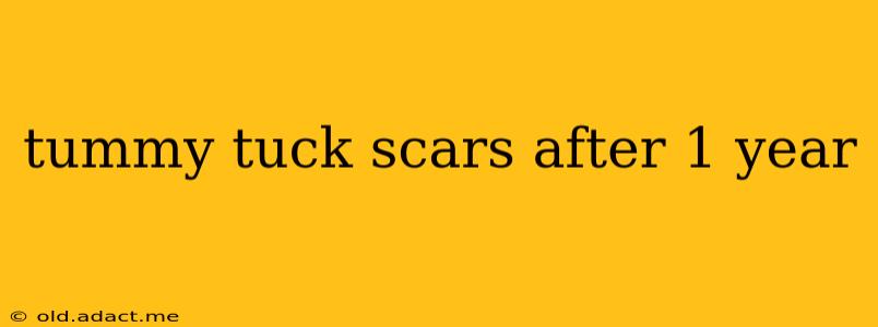 tummy tuck scars after 1 year