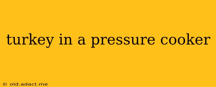 turkey in a pressure cooker