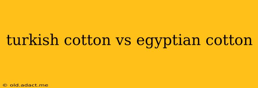turkish cotton vs egyptian cotton