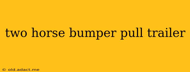 two horse bumper pull trailer
