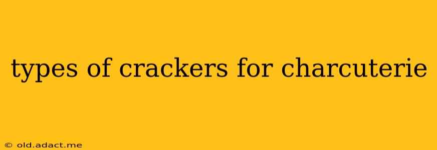 types of crackers for charcuterie