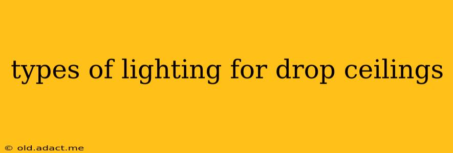 types of lighting for drop ceilings