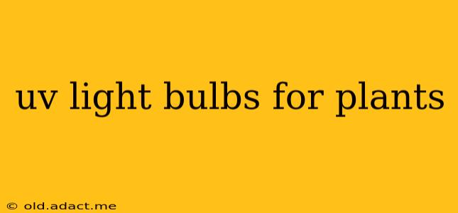 uv light bulbs for plants