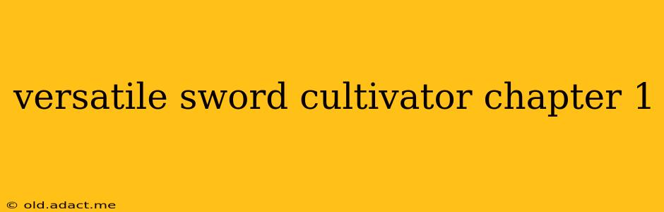 versatile sword cultivator chapter 1