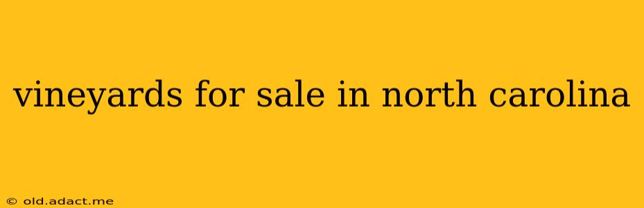 vineyards for sale in north carolina