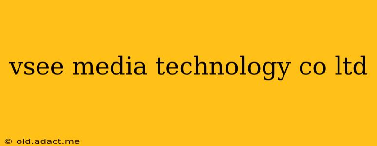 vsee media technology co ltd
