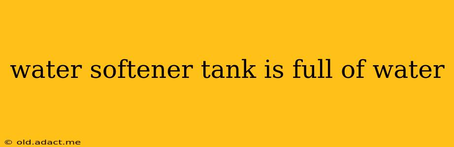 water softener tank is full of water