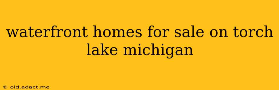 waterfront homes for sale on torch lake michigan