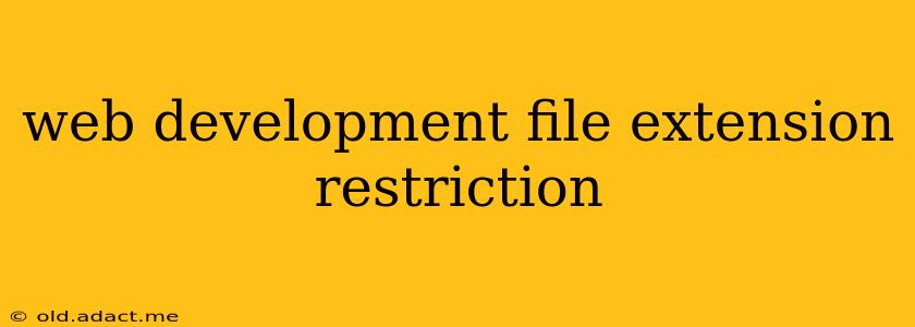 web development file extension restriction