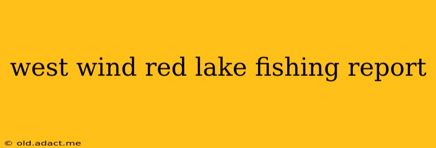 west wind red lake fishing report