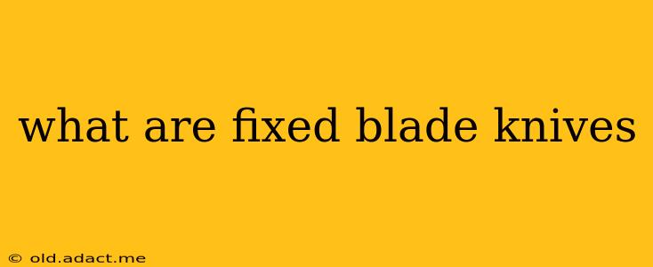 what are fixed blade knives