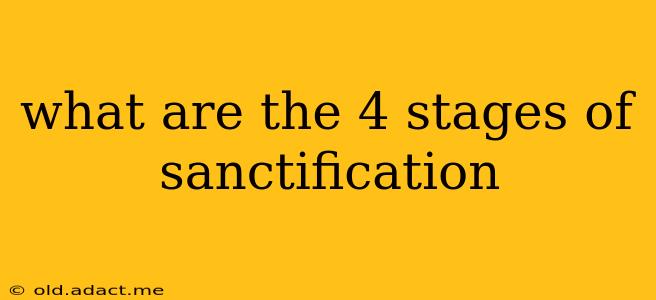 what are the 4 stages of sanctification