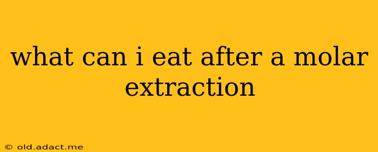 what can i eat after a molar extraction