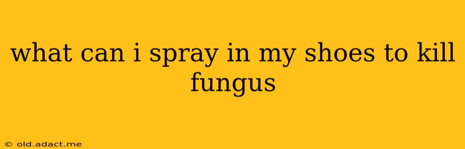 what can i spray in my shoes to kill fungus
