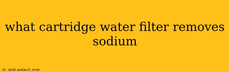 what cartridge water filter removes sodium