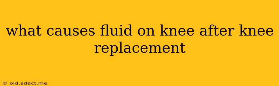 what causes fluid on knee after knee replacement